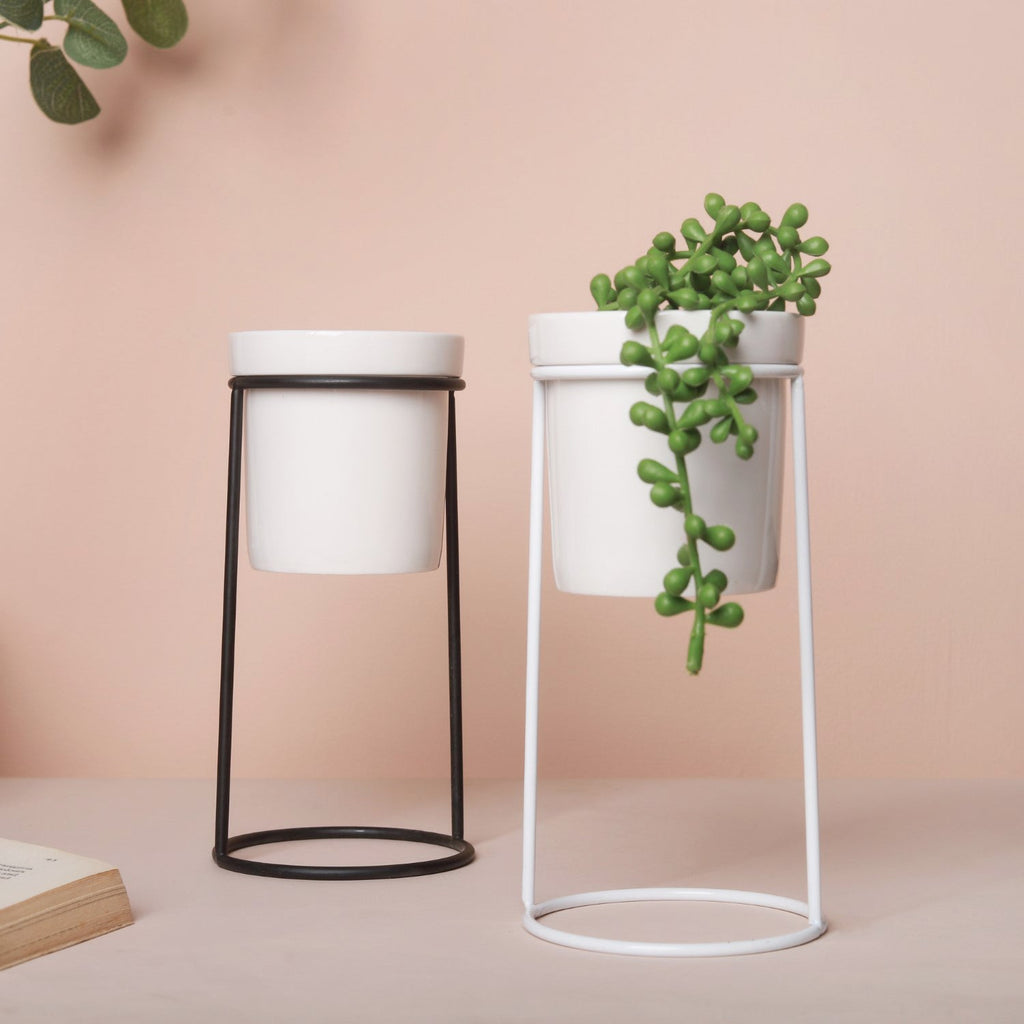 Large Planter Nestasia