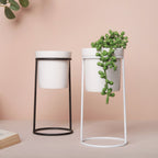 Large Planter Nestasia