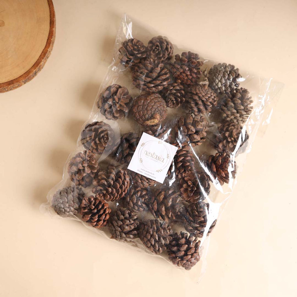 Natural Pine Cones Small Nestasia