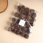 Natural Pine Cones Small Nestasia