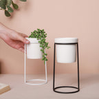 Large Planter Nestasia