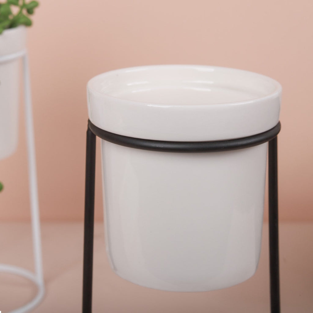 Large Planter Nestasia