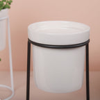 Large Planter Nestasia