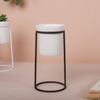 Large Planter Nestasia