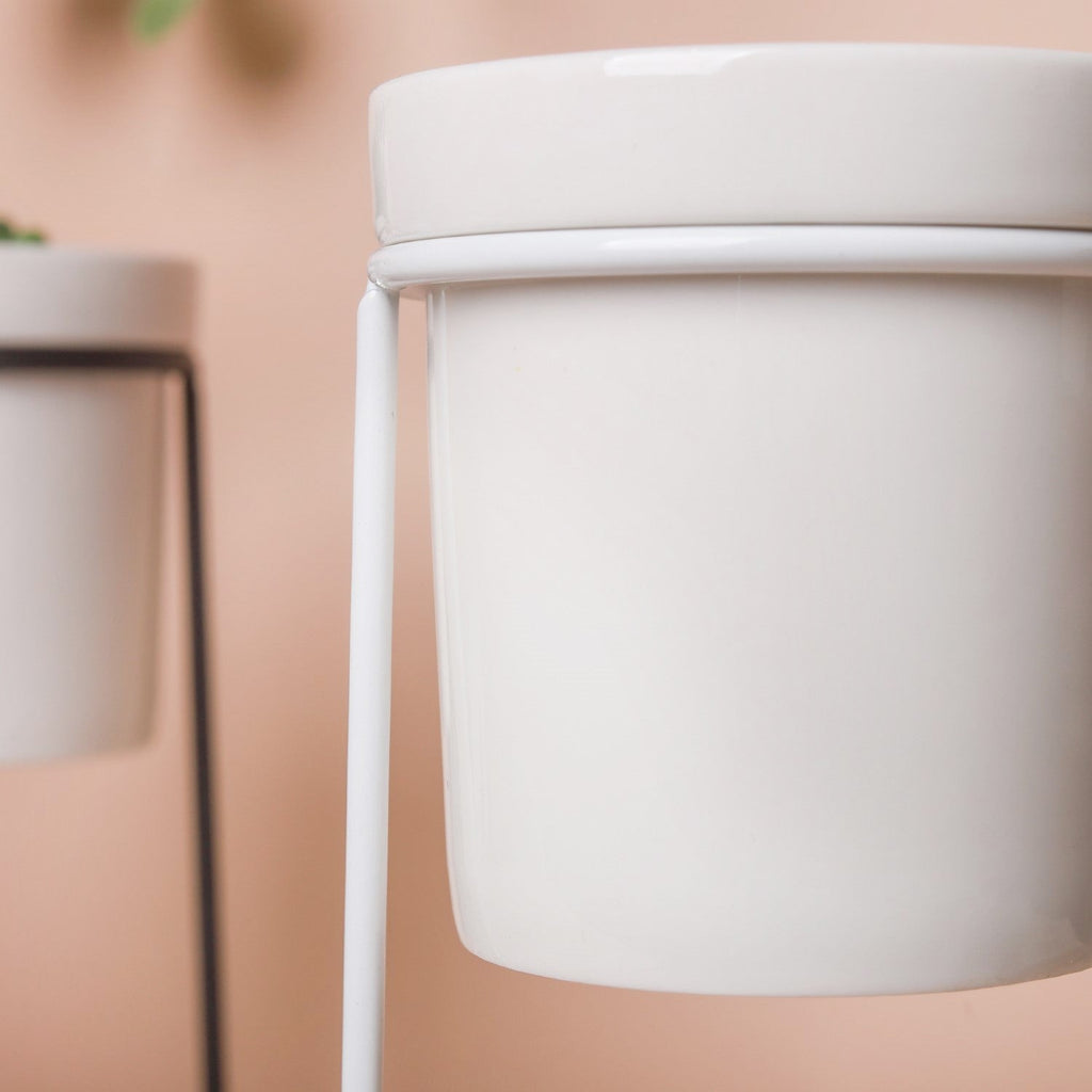 Large Planter Nestasia