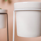 Large Planter Nestasia