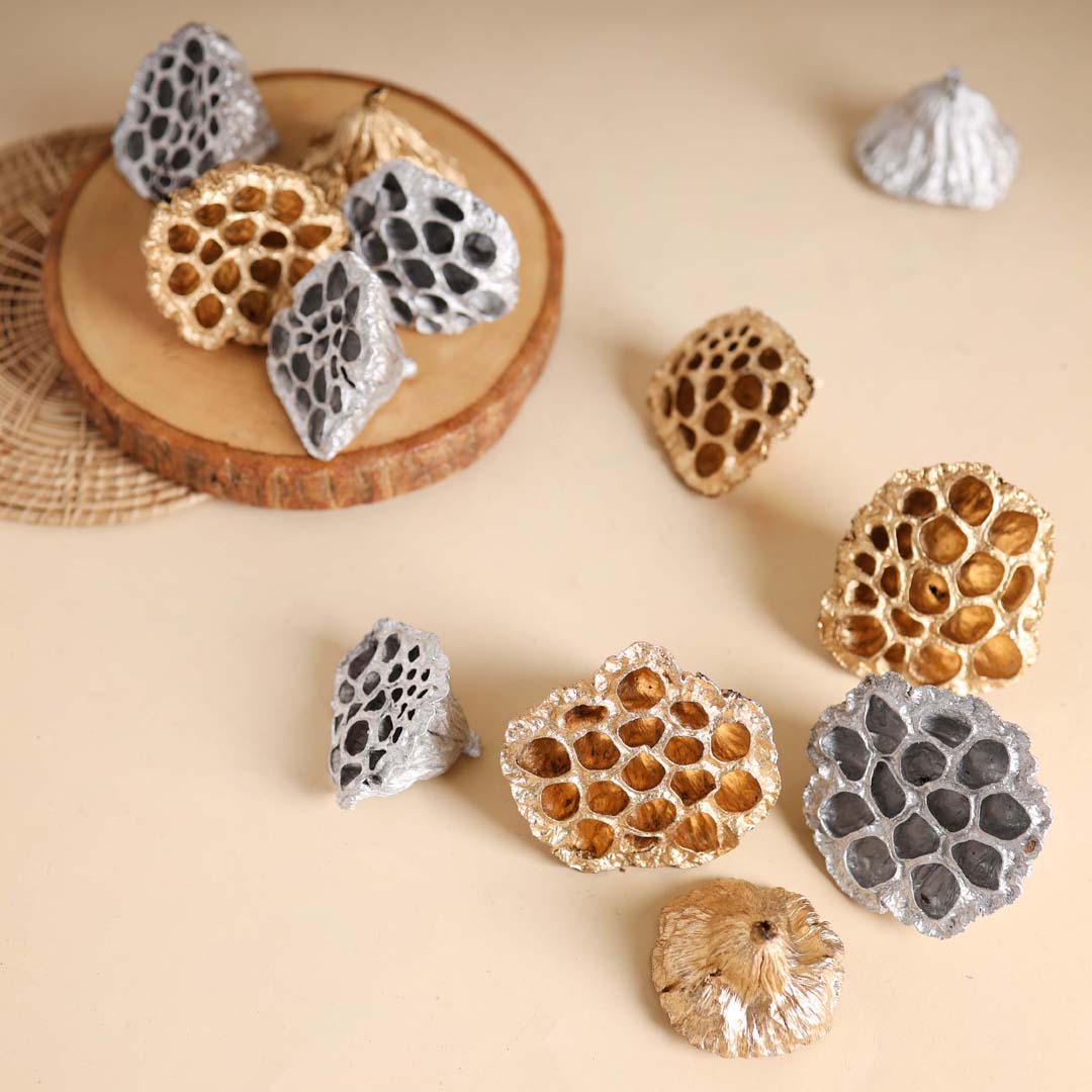 Lotus Pod For Decor Nestasia