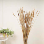 Wheat Bunch Nestasia