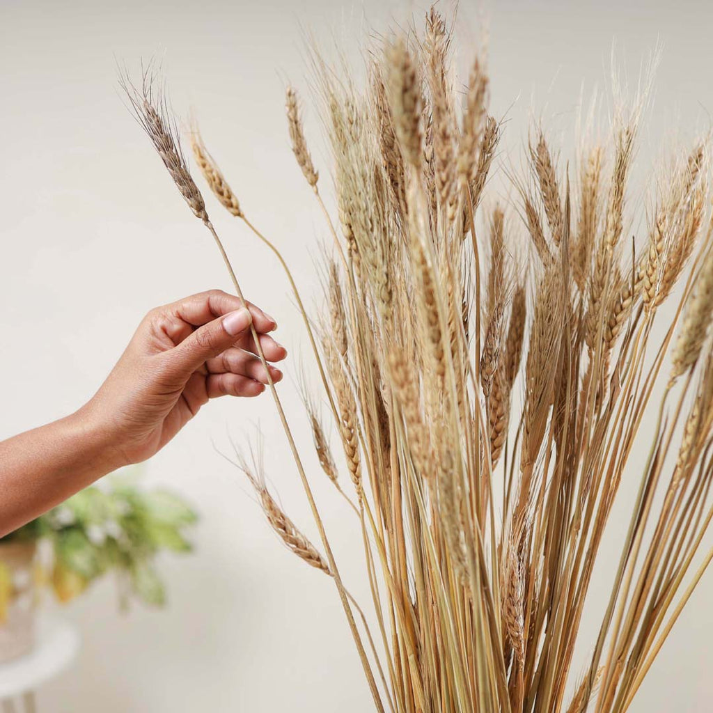 Wheat Bunch Nestasia
