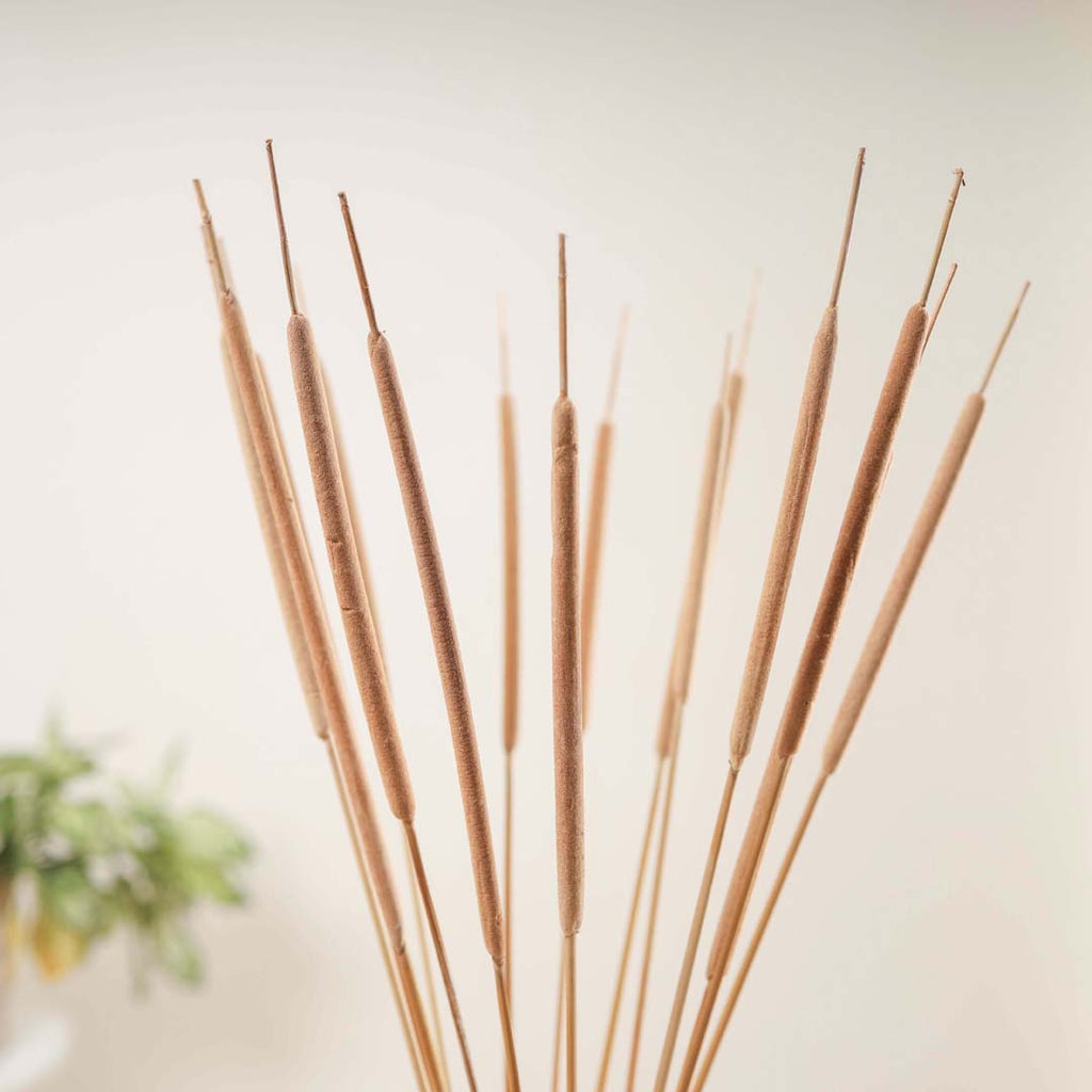 Cattail Stem For Decor Nestasia