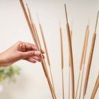 Cattail Stem For Decor Nestasia