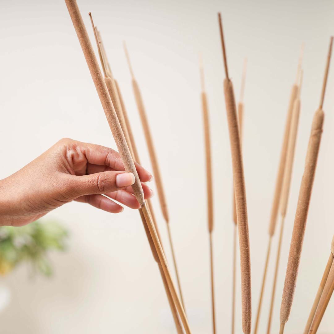 Cattail Stem For Decor Nestasia