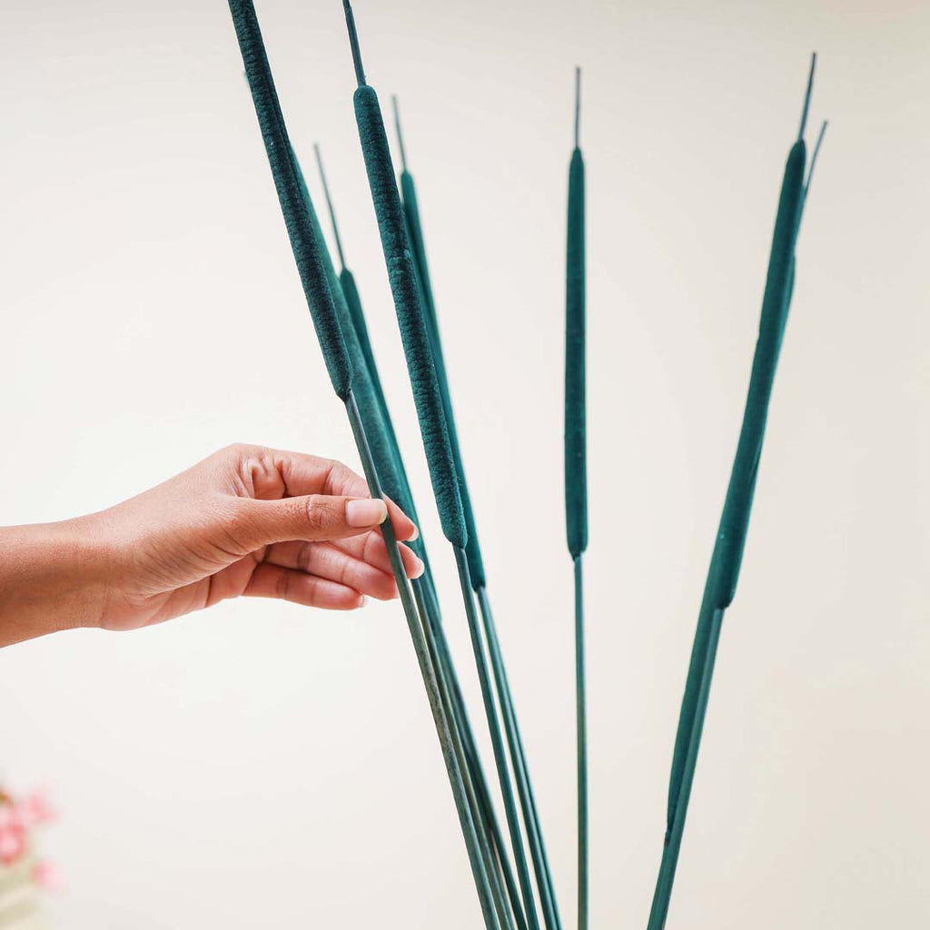 Cattail Stems