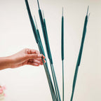 Cattail Stems