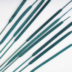Cattail Stems