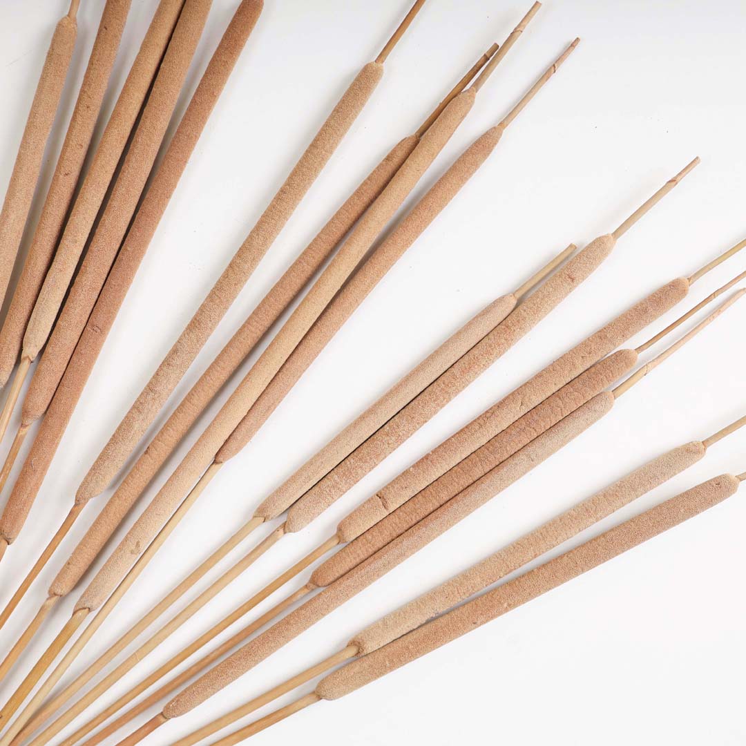 Cattail Stem For Decor Nestasia