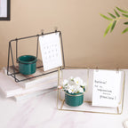 Porcelain Pot for Indoor Plants Nestasia