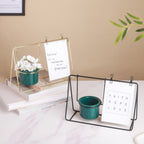 Porcelain Pot for Indoor Plants Nestasia