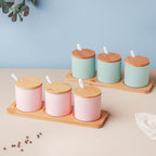 Pastel Spice Jar Set of 3 Nestasia