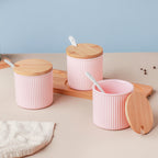 Pastel Spice Jar Set of 3 Nestasia