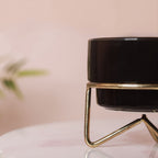 Small Flower Pot