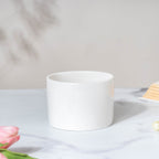 Cacti Frame Ceramic Planter White Nestasia
