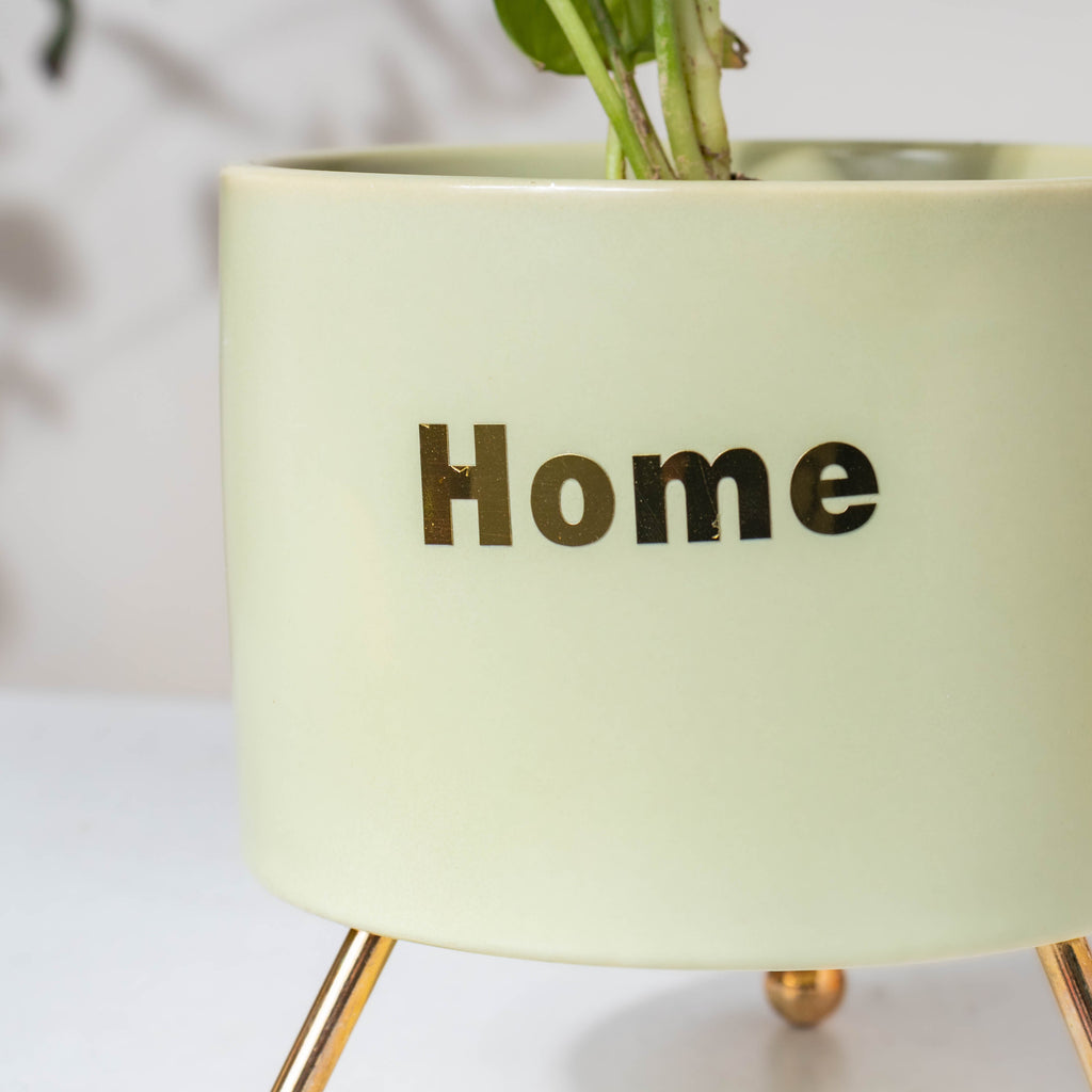 Home Ceramic Planter With Stand Green Nestasia