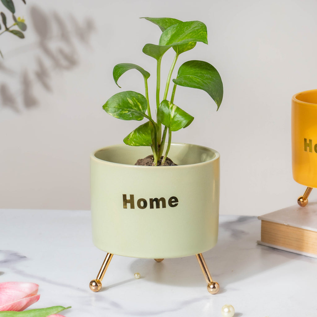 Home Ceramic Planter With Stand Green Nestasia