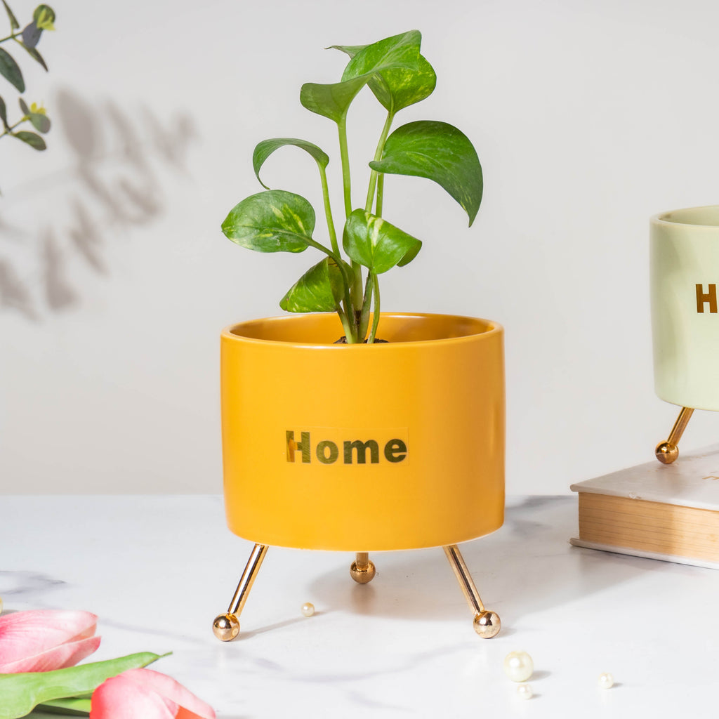 Home Ceramic Planter With Stand Yellow Nestasia