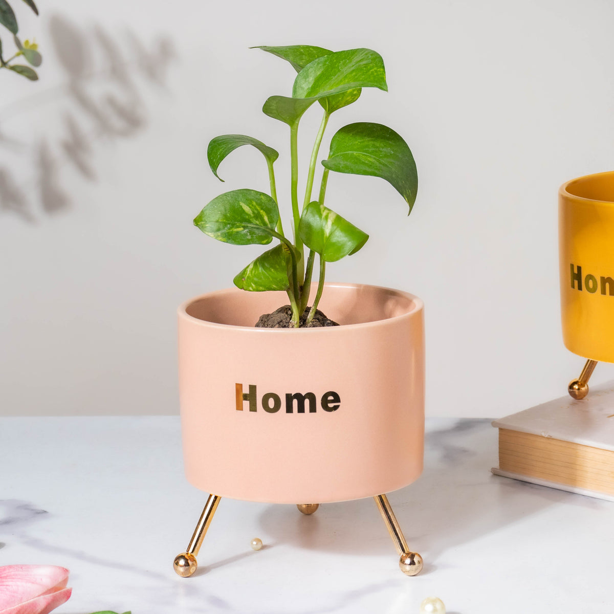 Home Ceramic Planter With Stand Pink Nestasia