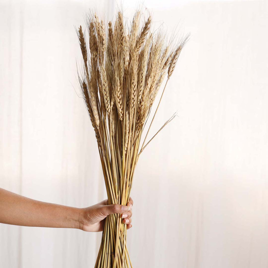 Wheat Bunch Nestasia