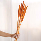 Millet Stem Orange Nestasia