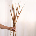 Cattail Stem For Decor Nestasia