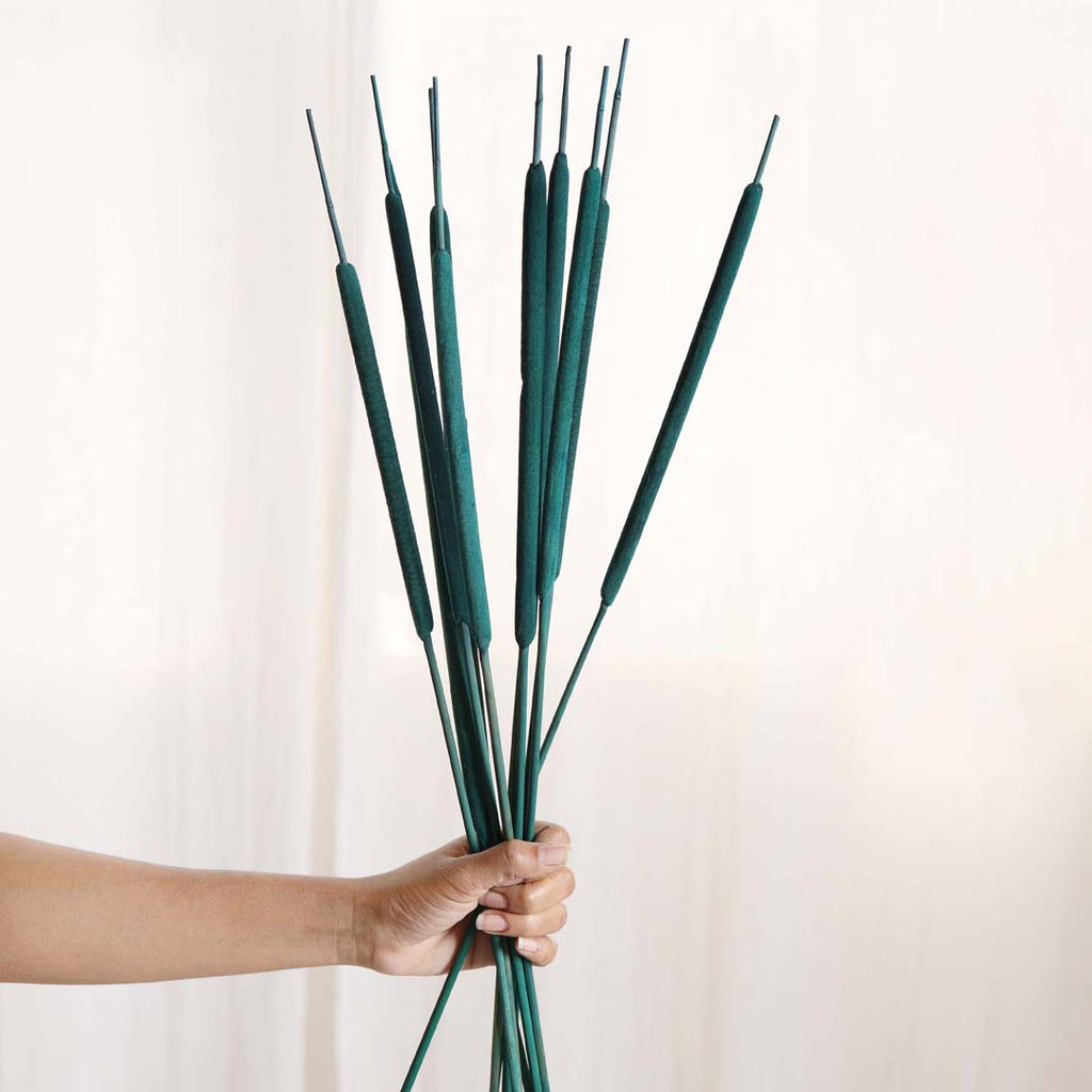 Cattail Stems