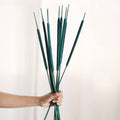 Cattail Stems