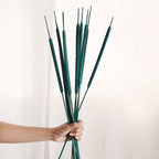 Cattail Stems