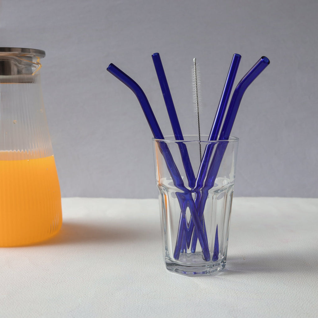Glass Drinking Straw Set of 4 Nestasia