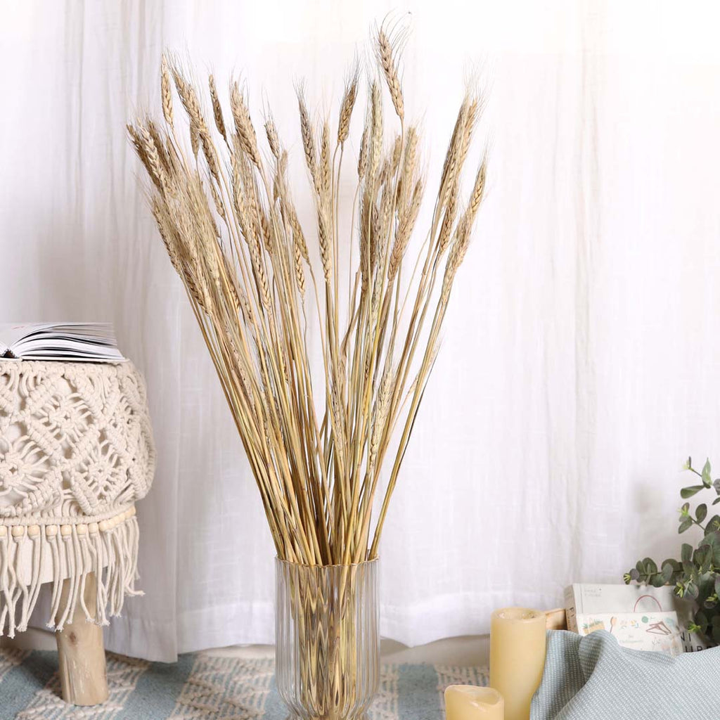Wheat Bunch Nestasia