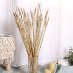 Wheat Bunch Nestasia