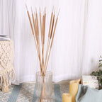 Cattail Stem For Decor Nestasia