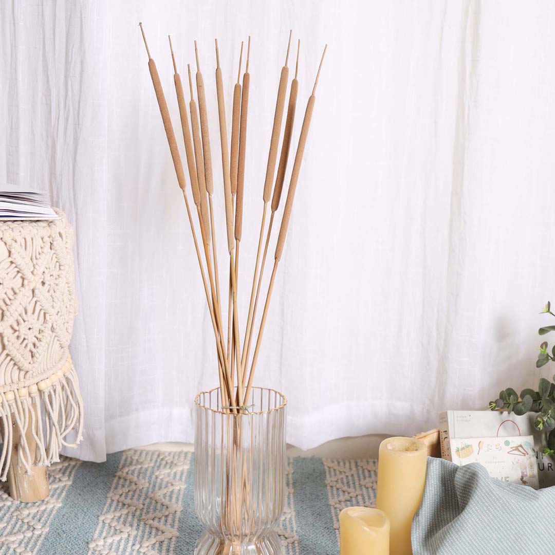 Cattail Stem For Decor Nestasia