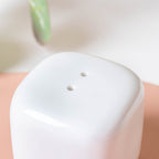Serena Pearly White Salt And Pepper Shaker Nestasia