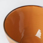 Adora Rimmed Glossy Soup Bowl Orange 550ml Nestasia