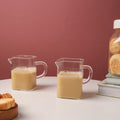 Small Glass Jug Set of 2 Nestasia