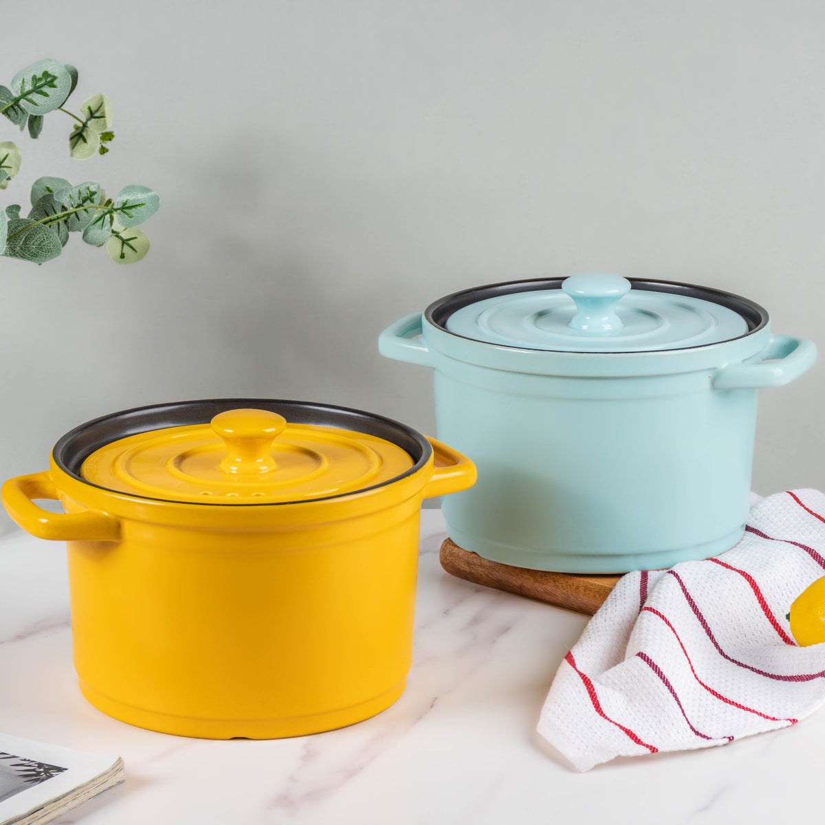 Tall Cooking Pot With Lid Nestasia