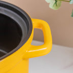 Deep Cooking Pot With Lid Nestasia