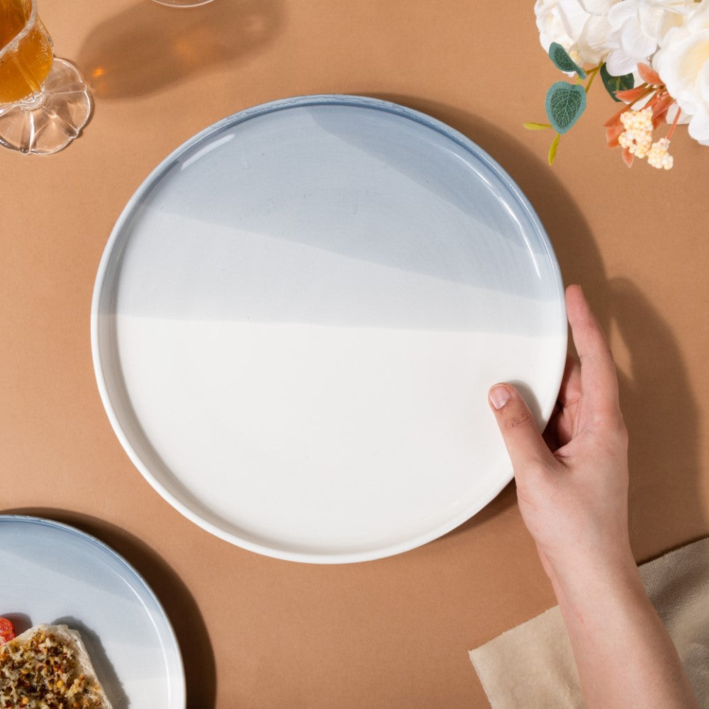 Ombre Dinner Plate Grey 10 Inch Nestasia