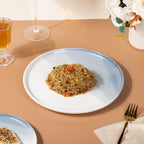 Ombre Dinner Plate Grey 10 Inch Nestasia