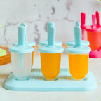 Ice Cream Mould Nestasia