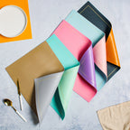 Leather Placemat Set of 2 Nestasia